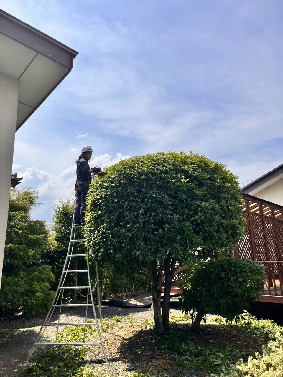造園工事